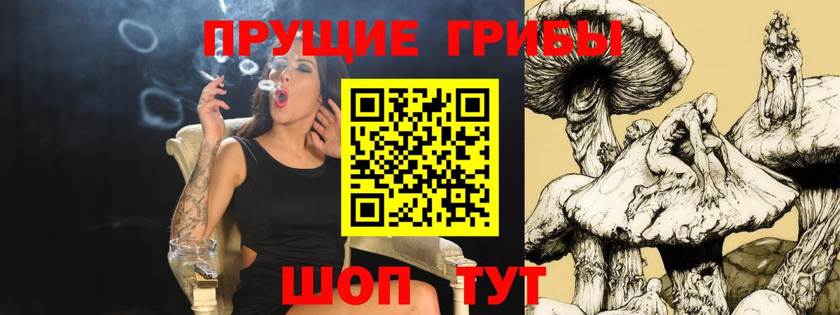 Псилоцибиновые грибы Magic Shrooms  Вход с VPN  купить наркотики цена  Рузаевка 